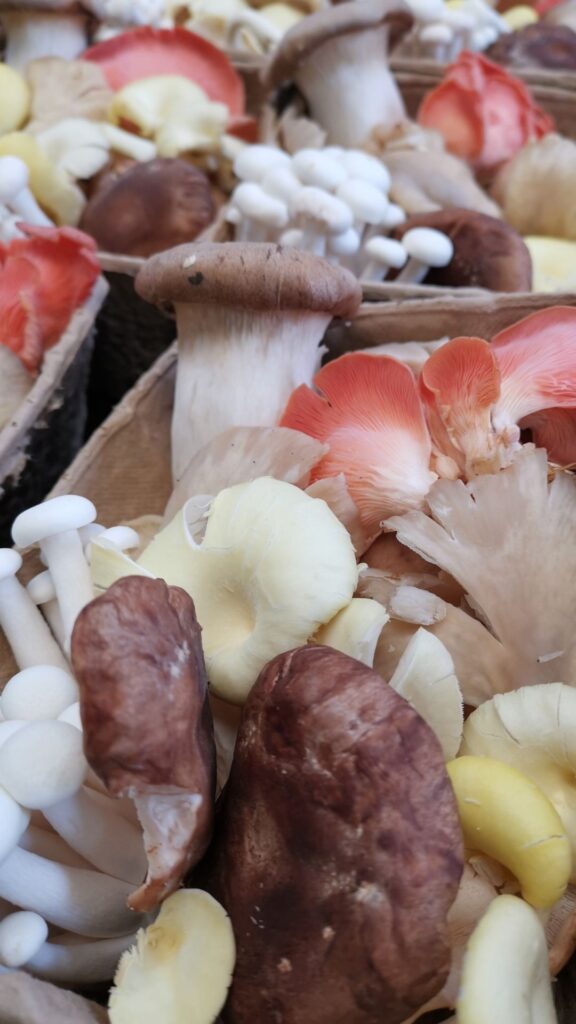 Close up of a punnet of mushrooms in all sorts of pale shades.